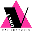 京都市のダンススタジオ【Dancestudio V.labo（ヴィラボ）】
